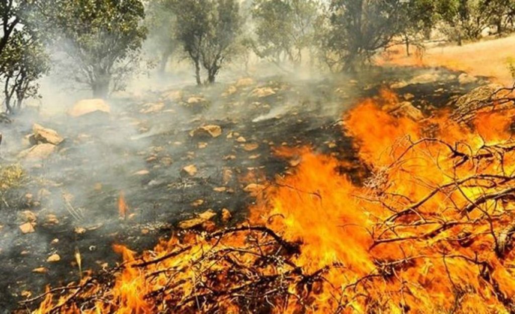 آتش سوزی جنگل های زاگرس